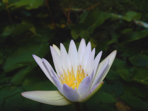彩票号码